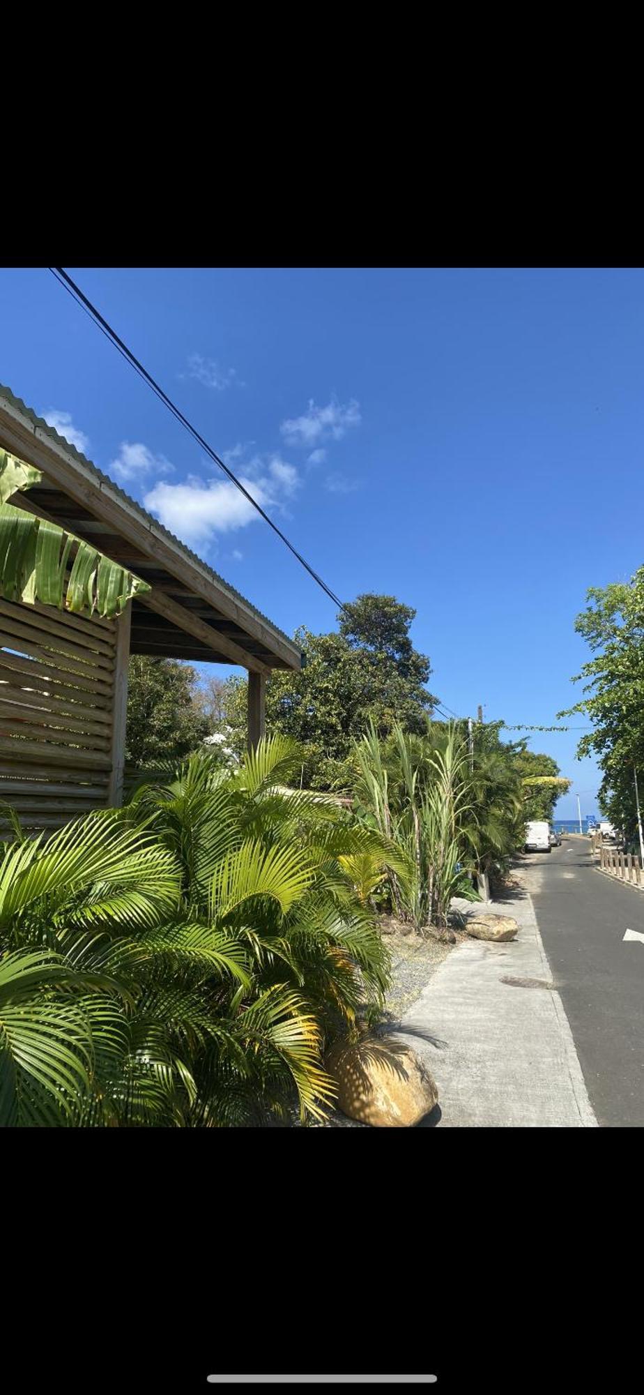 Charmant Bungalow Tout Confort Climatise - Terrasse Et Acces Plage ! Deshaies Buitenkant foto