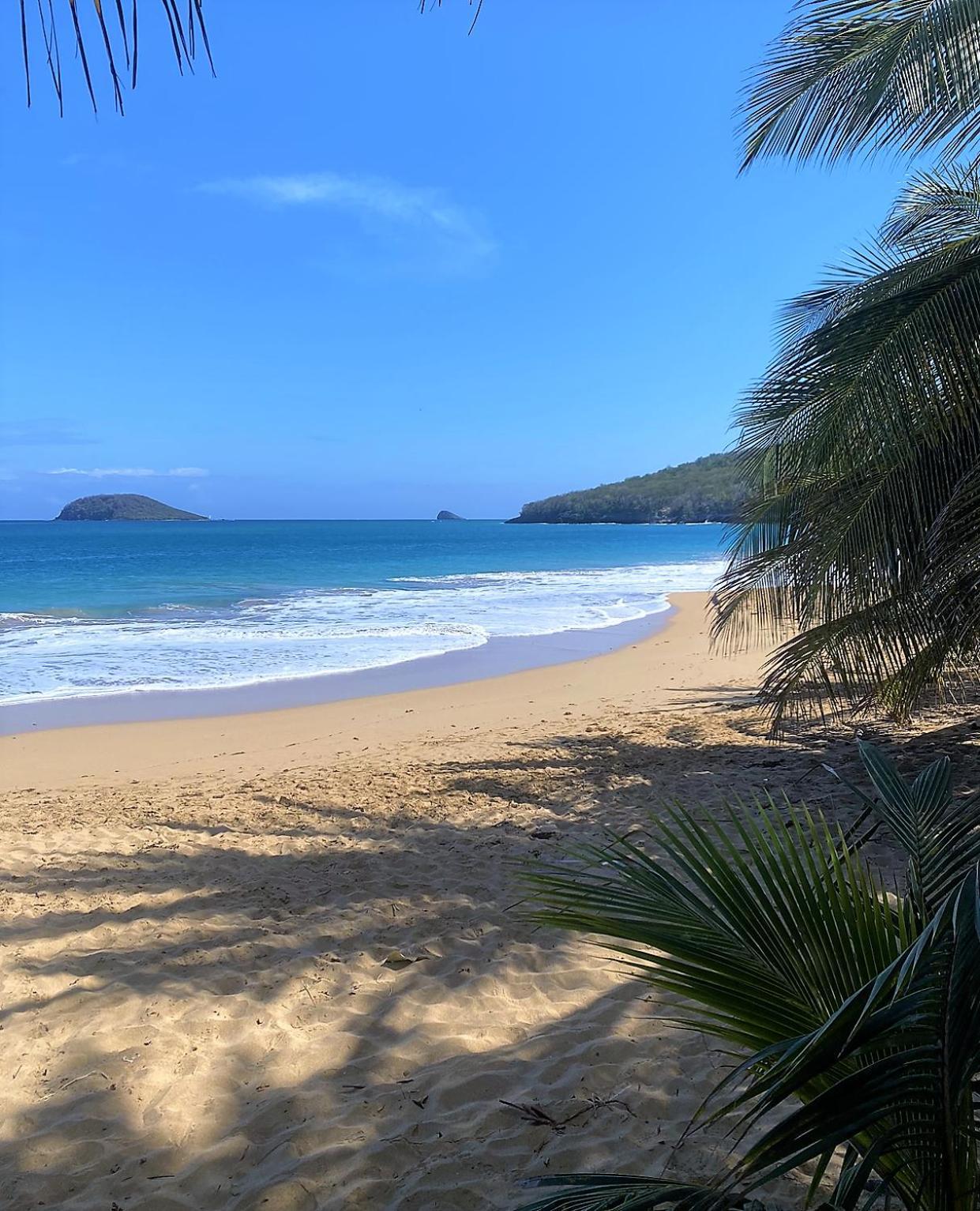 Charmant Bungalow Tout Confort Climatise - Terrasse Et Acces Plage ! Deshaies Buitenkant foto