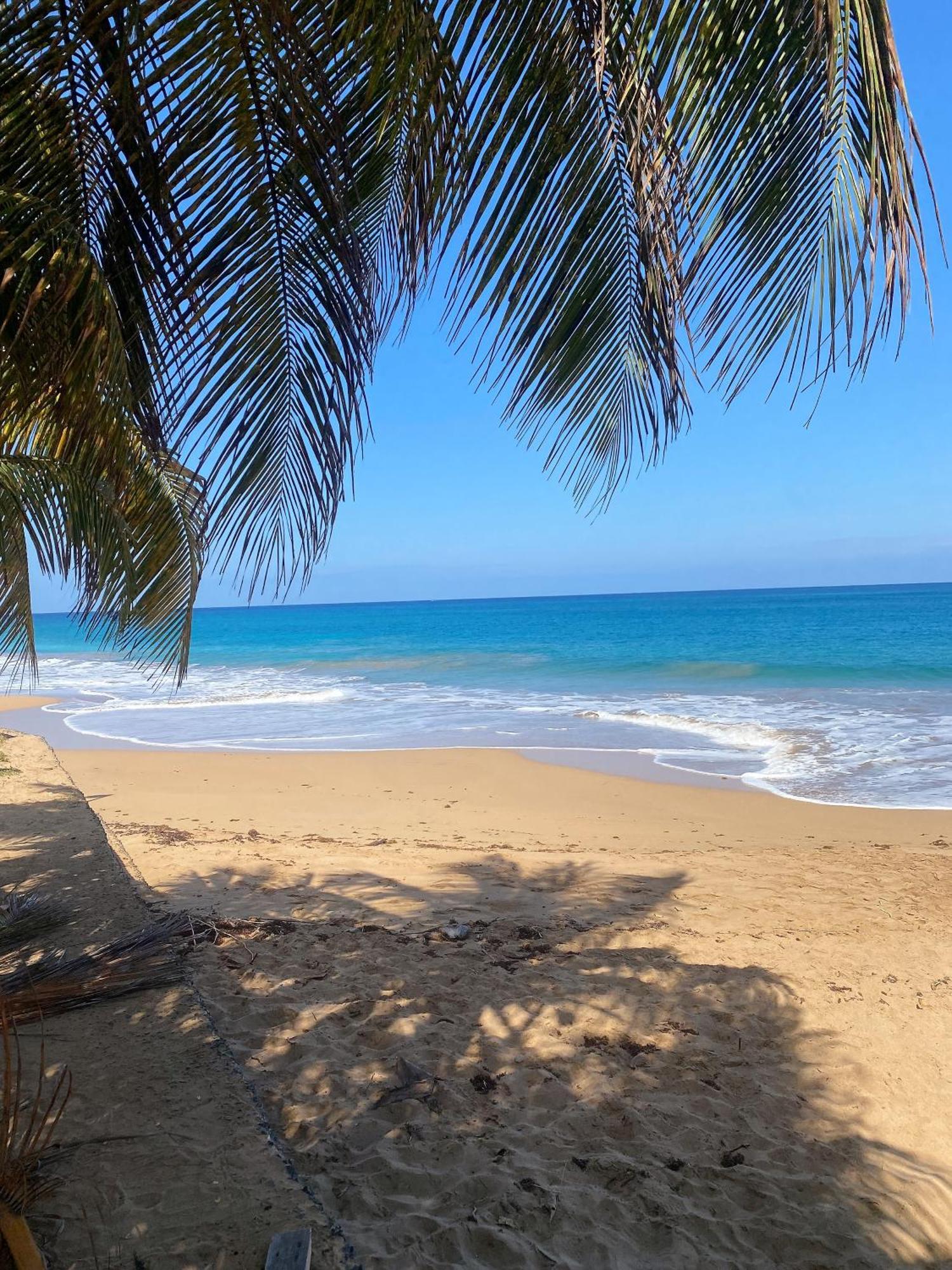 Charmant Bungalow Tout Confort Climatise - Terrasse Et Acces Plage ! Deshaies Buitenkant foto